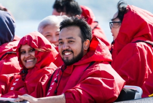 Сидней: приключенческая прогулка на реактивной лодке от Circular Quay