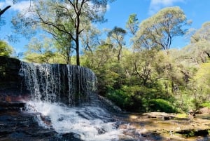 Sydney: Luxury Blue Mountains Adventure with Wentworth Falls