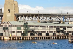 Sydney: Hafenrundfahrt am Morgen oder am Nachmittag