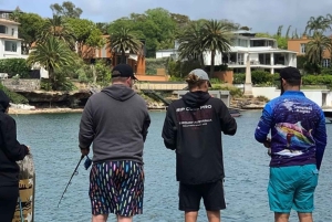 Sydney: Fiskeopplevelse fra land med utstyr