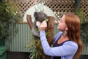 Sydney: Opera House & Featherdale Wildlife Park Tour