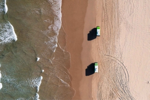 Sydney: Jednodniowa wycieczka do Port Stephens z obserwacją delfinów i wydmami piaskowymi