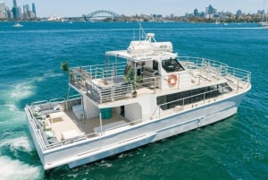 Sydney: Rejs katamaranem Premium Vivid Cruise z drinkiem powitalnym