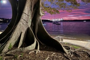 Sydney: Scenic Ferry & Sunset Experience in Watsons Bay