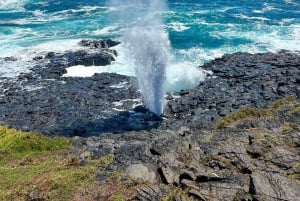 Sydney: Southern Highlands and South Coast Private Tour