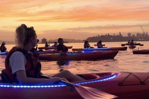 Sydney : Kayak au lever du soleil, Opéra et sous le Harbour Bridge