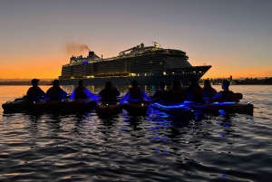 Sydney : Kayak au lever du soleil, Opéra et sous le Harbour Bridge