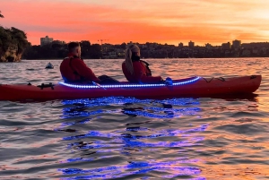 Sydney : Kayak au lever du soleil, Opéra et sous le Harbour Bridge