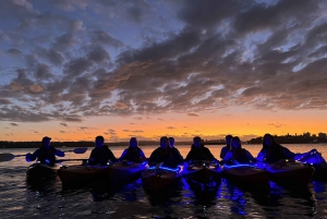 Sydney : Kayak au lever du soleil, Opéra et sous le Harbour Bridge