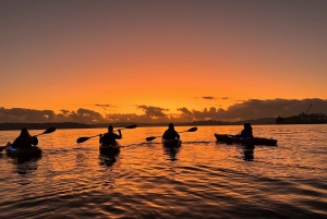 Sydney : Kayak au lever du soleil, Opéra et sous le Harbour Bridge