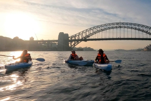 Sydney: Sunset Kayak - Opera & Harbour Bridge Tour (5p. max)