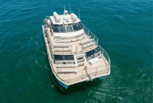 Sydney Crucero de aventura para avistamiento de ballenas