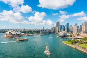 Sydney: Hvalfangstcruise og Taronga Zoo-pakke