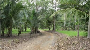 Taylorwood Nudist Resort