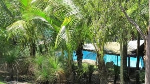 Taylorwood Nudist Resort