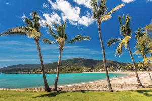 Airlie Beach: Hopper Sightseeing Bus with Lunch