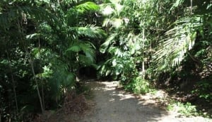 The Whitsunday Great Walk