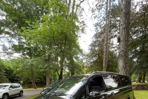 Titanic museum & Belfast fredsmurar tur 4 timmar biljett inc