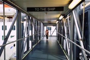 Van/naar Southampton Cruise Port naar Gatwick via Stonehenge