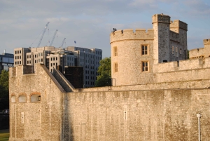 Tour privato guidato della Torre di Londra
