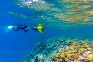 Townsville og Magnetic Island: MOUA og tur til Great Barrier Reef