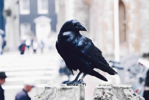 Londres Real Definitivo, paseo en barco por el Támesis y tour a pie