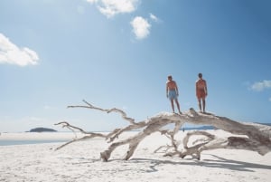 Ultimate Whitehaven Beach, Hike & Inlet Tour with Lunch