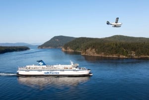 Vancouver to Victoria Seaplane Adventure & Return Bus/Ferry