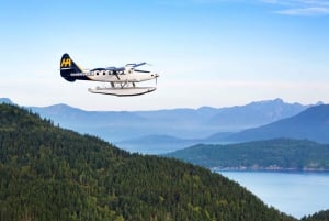 Vancouver to Victoria Seaplane Adventure & Return Bus/Ferry