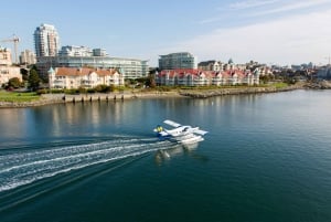 Vancouver to Victoria Seaplane Adventure & Return Bus/Ferry