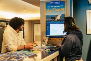 Victoria: Hvalsafari i en Zodiac-båt