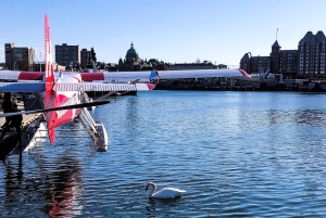 Victoria: Utökad panoramisk tur med sjöflygplan