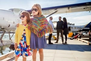 Victoria: Extended Panorama Scenic Seaplane Tour