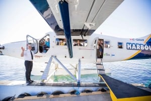 Victoria: Extended Panorama Scenic Seaplane Tour