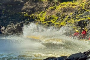 Victoria Falls: Jetboat-oplevelse på eventyr