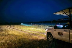 Wodospady Wiktorii: Rejs o zachodzie słońca z 2 aktywnościami Shearwater