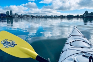 Victoria: Wycieczka kajakiem po porcie