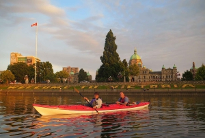 Victoria: Wycieczka kajakiem po porcie