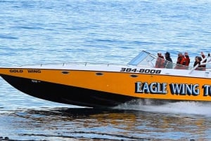 Victoria: tour mattutino di avvistamento balene in barca Scarab