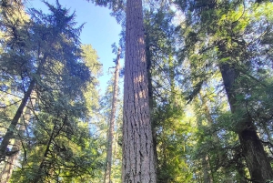 Victoria; Penninsula Abenteuer, Wandern, Aquarium und Ausblicke