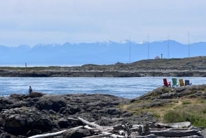 Victoria: Privat ekspresrundtur til byens højdepunkter