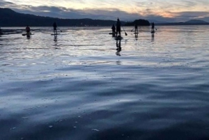 Victoria: Secret Beaches and Islands SUP Tour