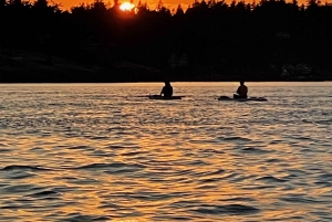 Victoria: Excursión en SUP por las playas e islas secretas