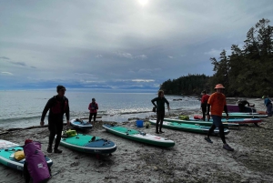 Victoria: Excursión en SUP por las playas e islas secretas