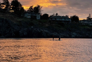 Victoria: Excursión en SUP por las playas e islas secretas