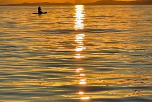 Victoria: Sunrise or Sunset SUP Tour