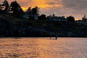 Victoria: Sunrise or Sunset SUP Tour