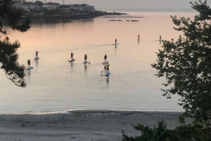 Victoria: Sunrise or Sunset SUP Tour