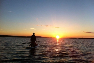 Victoria: Sunrise or Sunset SUP Tour