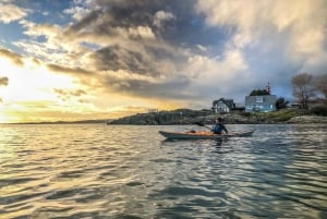 Victoria: Sunset Kayak Tour